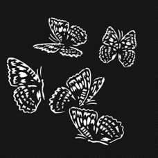 Butterfly Flutters